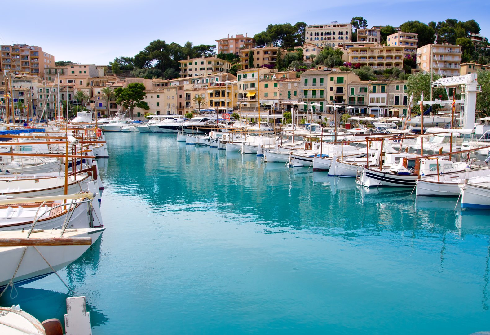 Excursión Puerto Soller y Valldemosa desde 30€